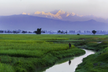 Panchagarh