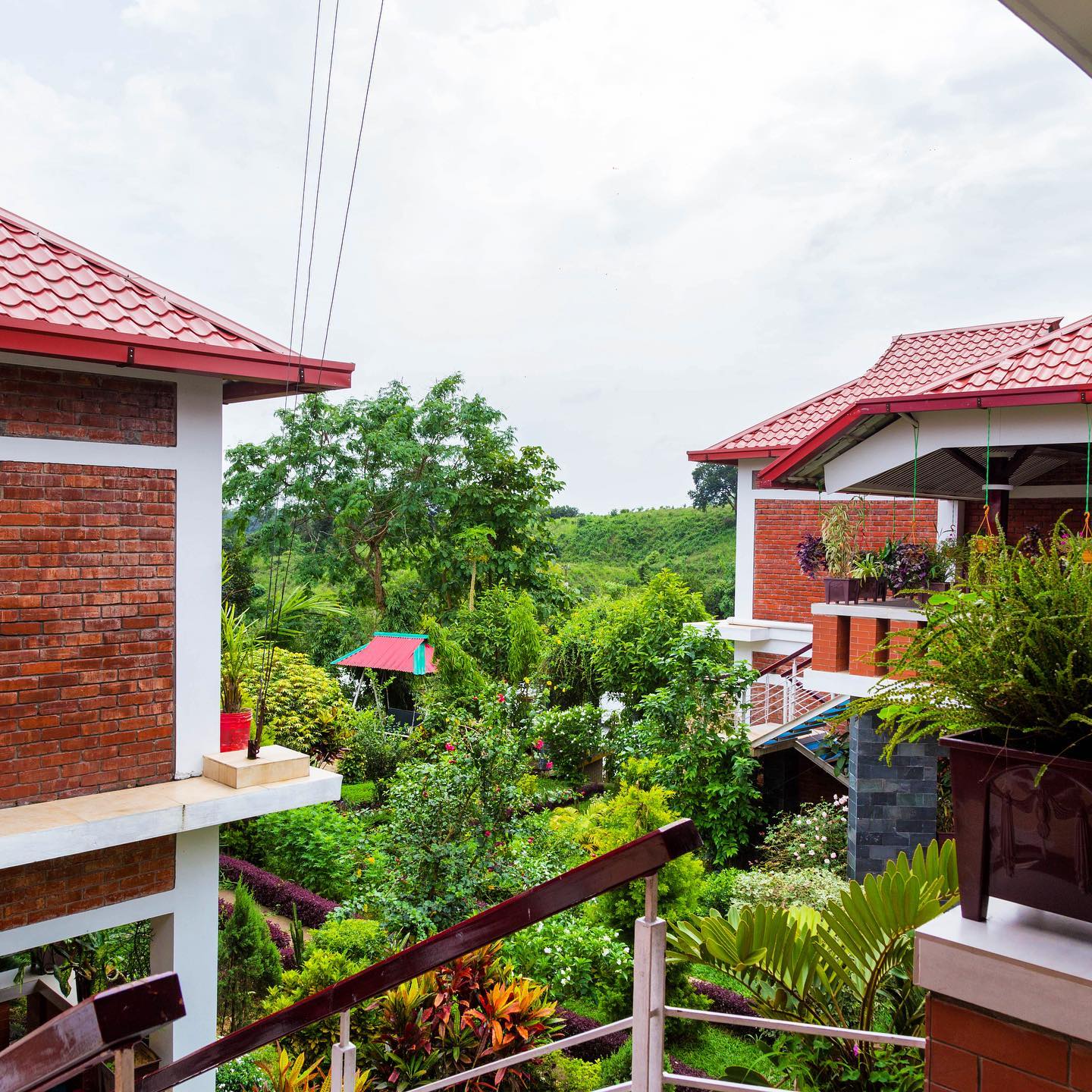 Hotel view
