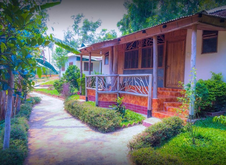 Hotel view
