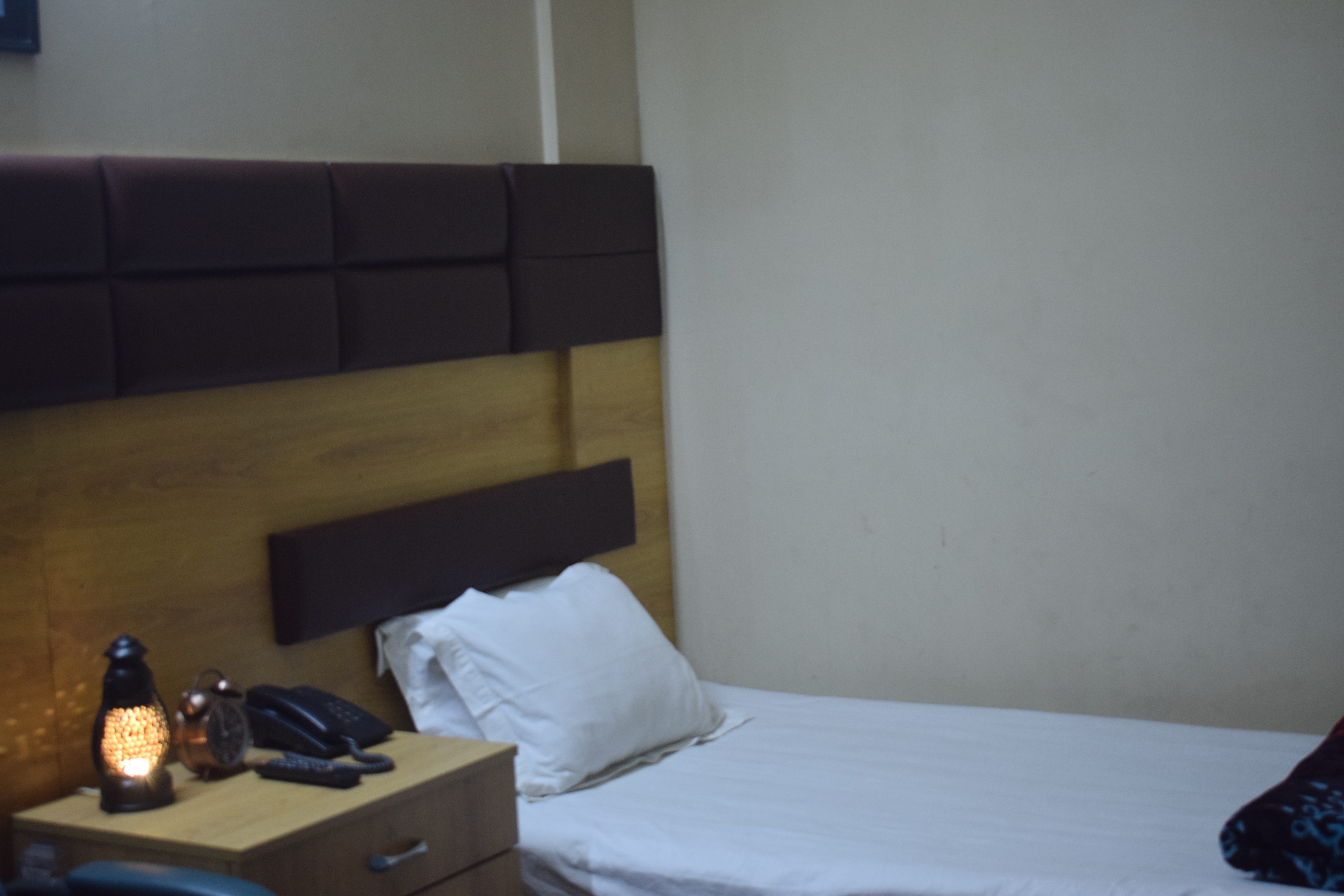 Hotel Green Tower