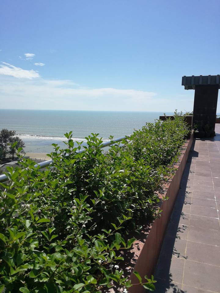 Hotel photo 36
